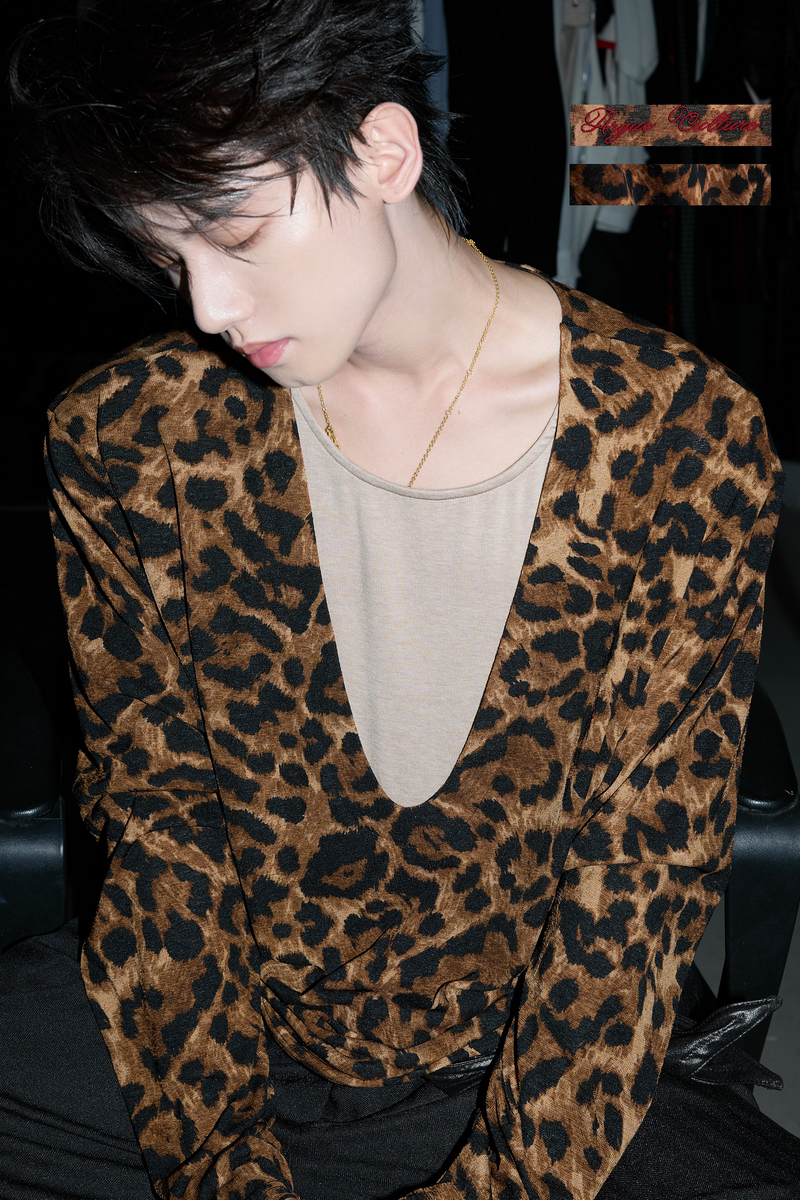 Leopard Layered V-Neck Top